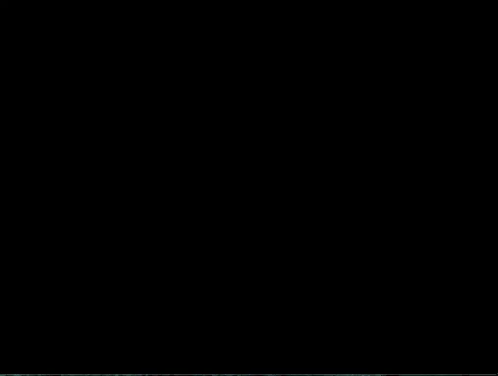 1730714124885.webp