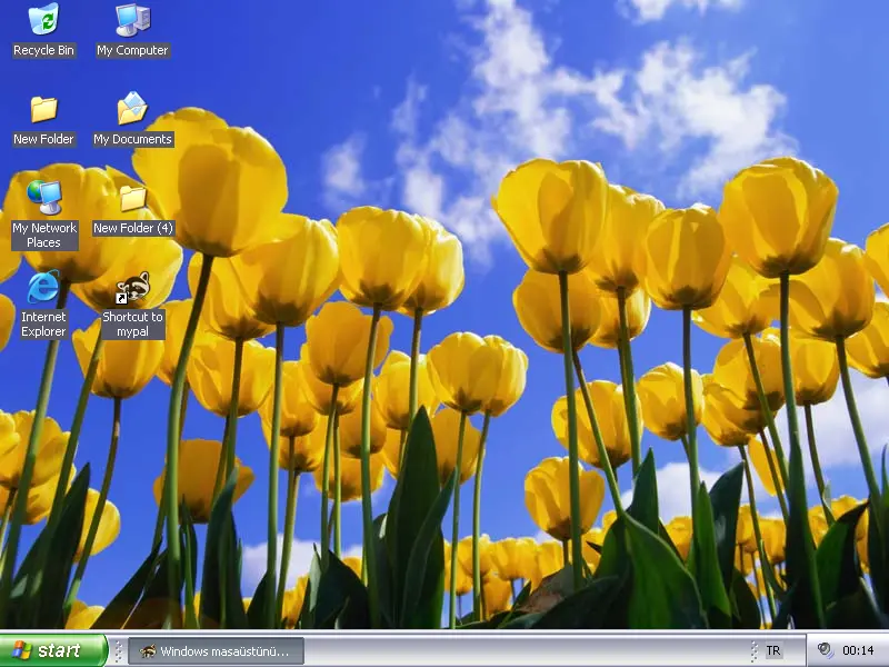 1731276948046.webp