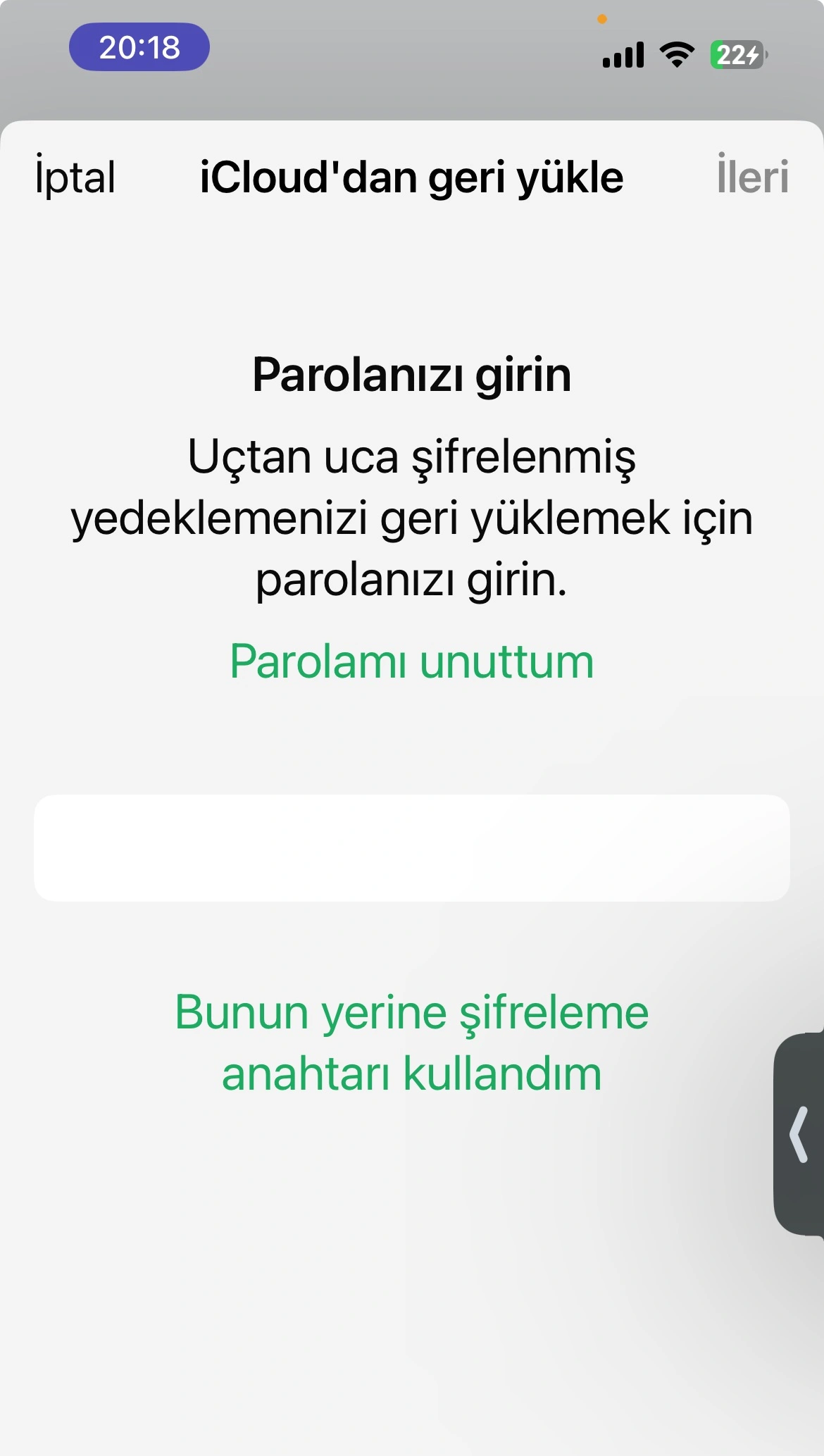 1731518643112.webp