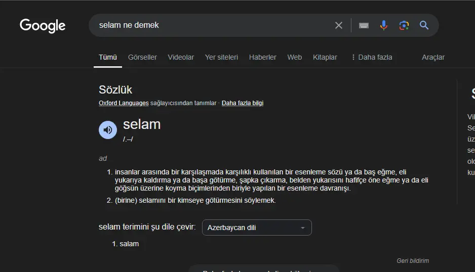 1731609019679.webp