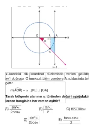 1731655569536.webp