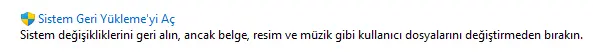 1732107262206.webp