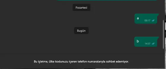 1732112522121.webp