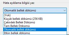 1732646310255.webp