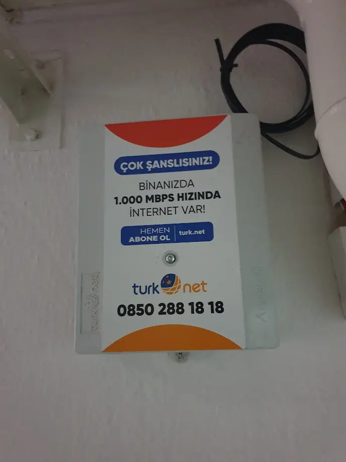 1732982706693.webp