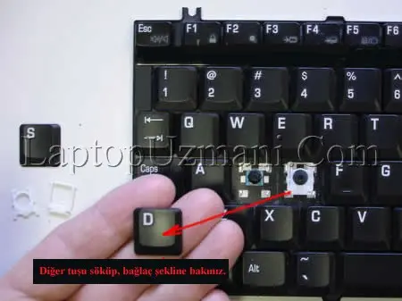 1733000784971.webp