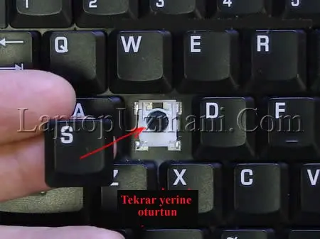1733000844694.webp