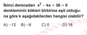 1733146561674.webp