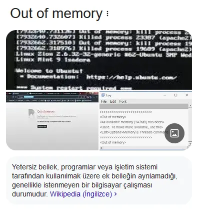 1733170931385.webp