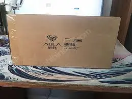 1733173717938.webp