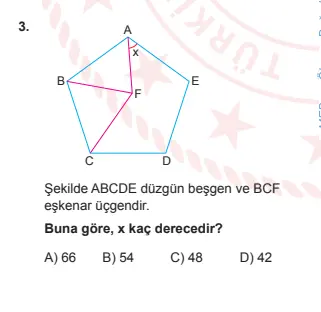 1733679177053.webp