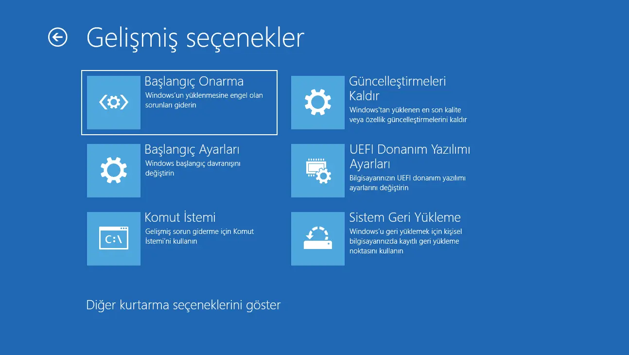 1733807718852.webp