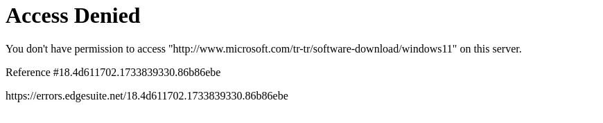 1733839354105.webp