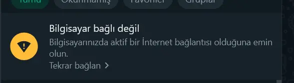 1733941481926.webp