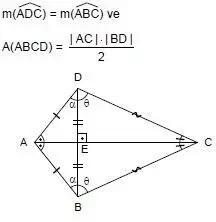1733946670816.webp