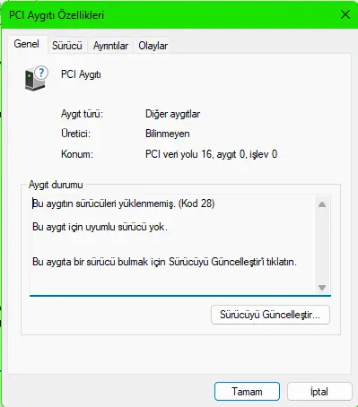 1734004375561.webp