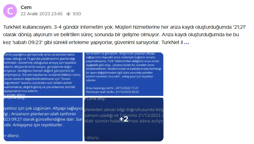1734008545452.webp