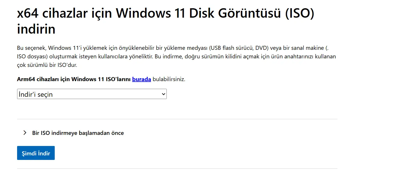 1734094260634.webp