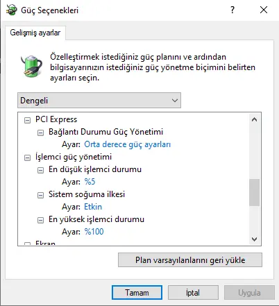 1734284342614.webp