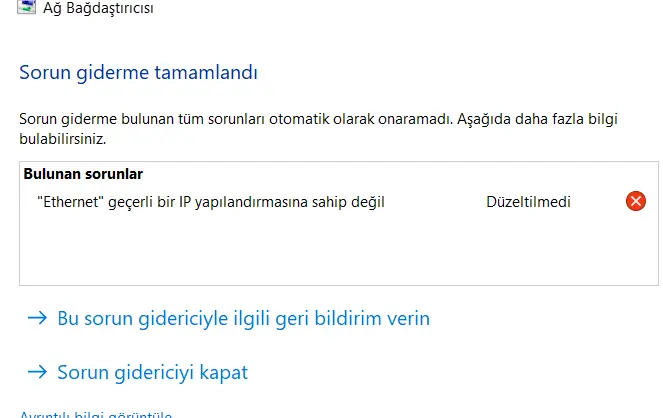 1734460038958.webp