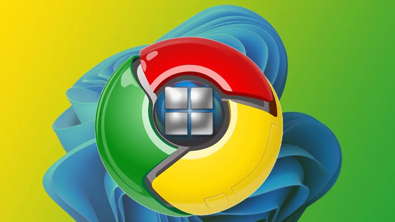 1734471547656.webp