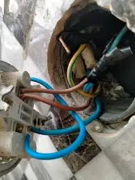 1734496460783.webp