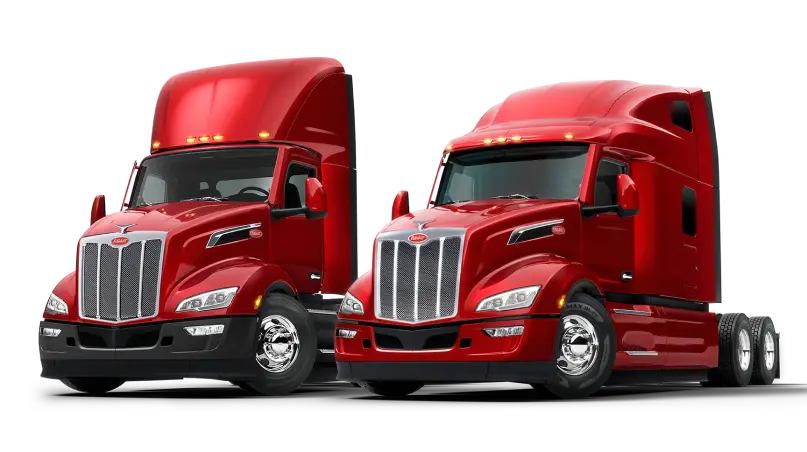 1734778126856.webp