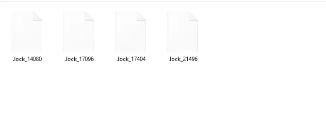 1734970109199.webp
