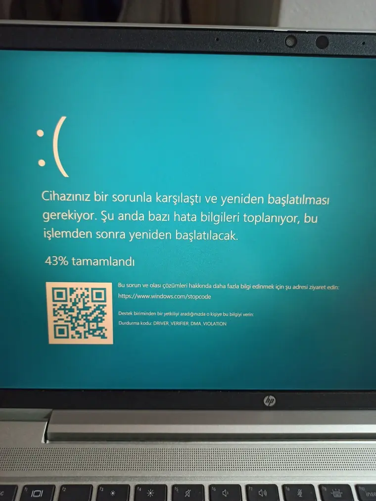 1735079246659.webp