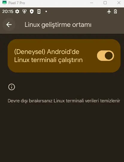 1735233329781.webp