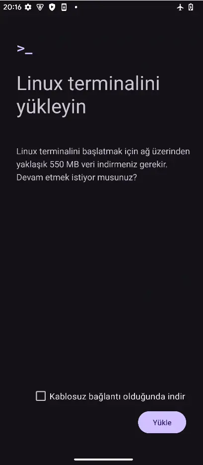 1735233372677.webp