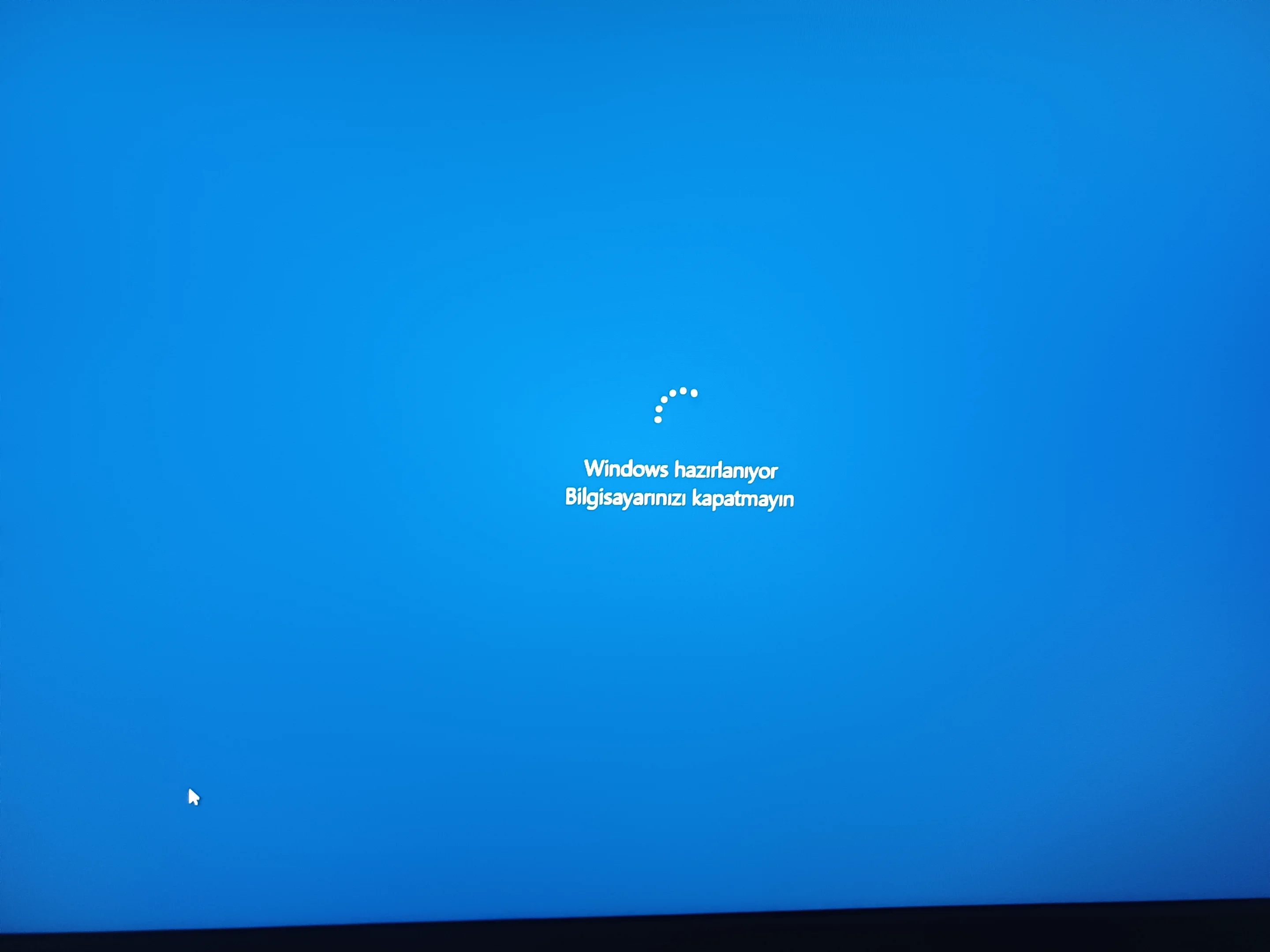 17354086930546425003754497438262.webp
