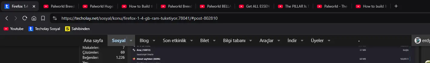 1735659718948.webp