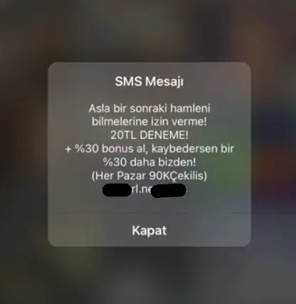 1735664146618.webp