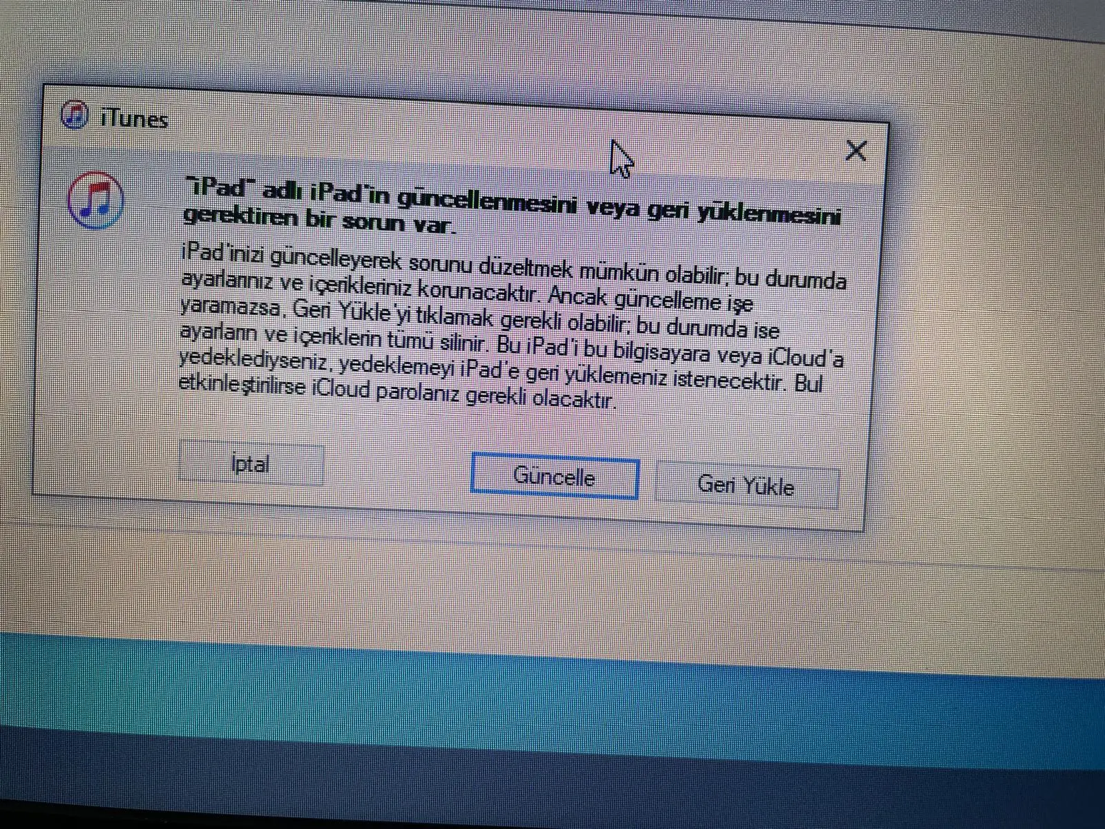 1736335724451.webp
