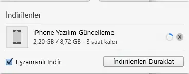 1736590644689.webp