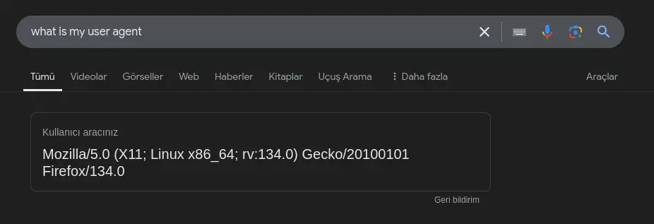 1736679691027.webp