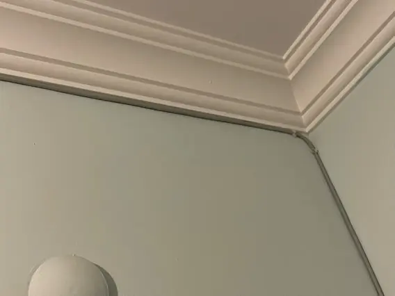 1736686430194.webp