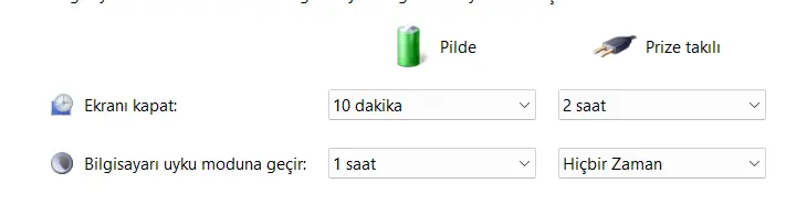 1737123113888.webp