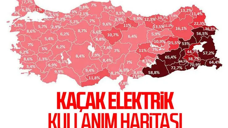 1737469766695.webp
