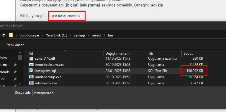 1737630205629.webp
