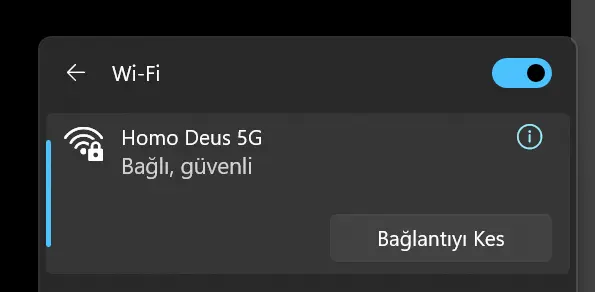1737632040483.webp