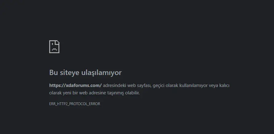 1737635695847.webp