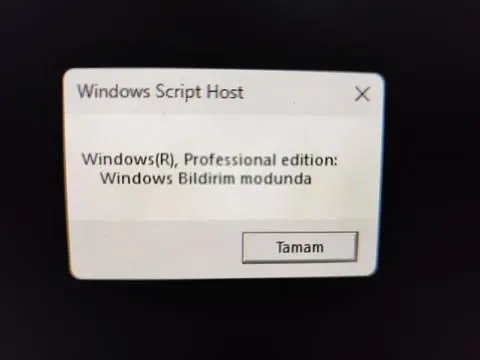 1738261997151.webp