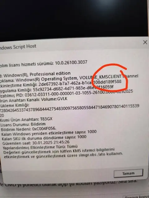 1738262938893.webp