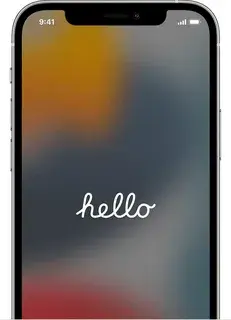 1738511561317.webp