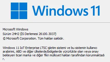1739099345253.webp