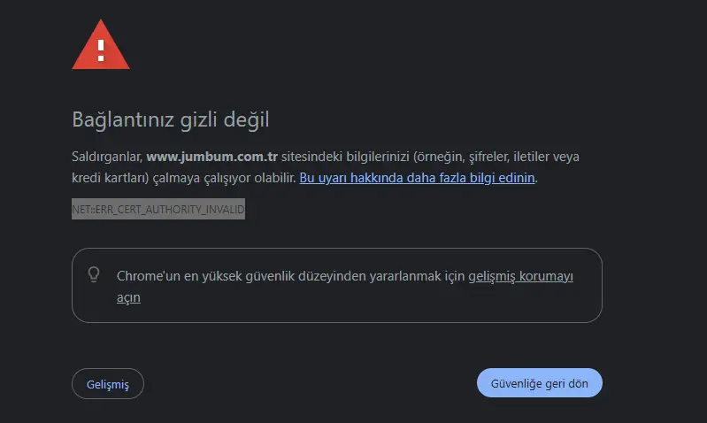 1739234490382.webp