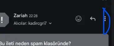 1739392692962.webp