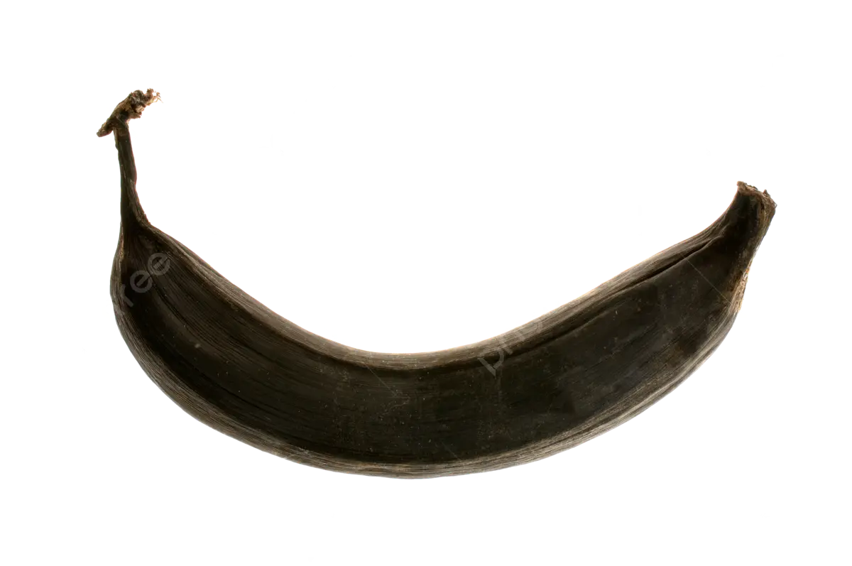 1739472278377.webp